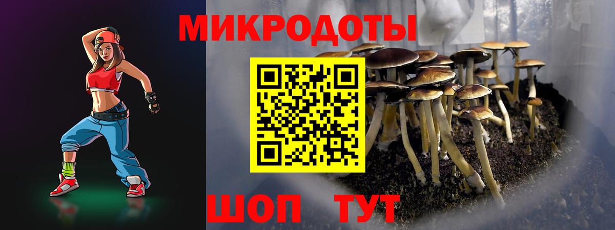 Псилоцибиновые грибы ЛСД  Псилоцибиновые грибы мицелий  Ачхой-Мартан  Вход с VPN 